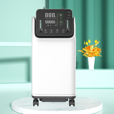 Concentrateur de l'oxygène des soins de santé 10L utilisation personnelle portative de 10 litres