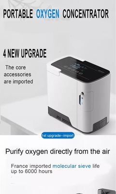 1 l 7 L le double oxygène d'écoulement du concentrateur O2 portatif réglable