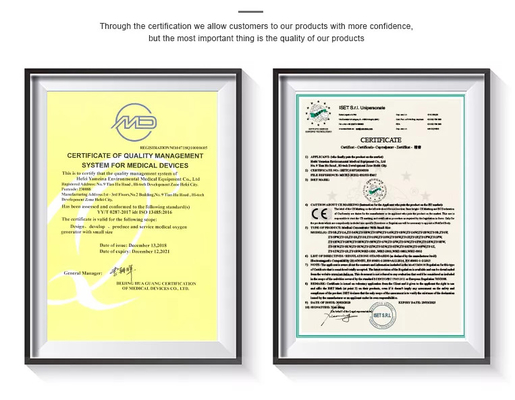 Concentrateur à la maison de l'oxygène d'utilisation respirant avec le nébuliseur PSA 1L électrique 3L 5L
