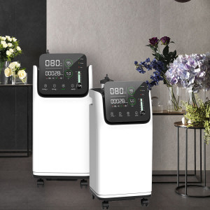 Le CE d'OEM a approuvé 1 - ménage à télécommande de concentrateur de l'oxygène 5L