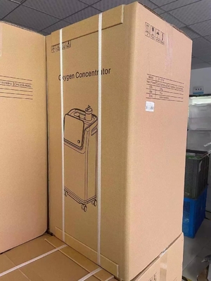 Plein générateur portatif intelligent de machine de l'oxygène de nébuliseur 10 litres