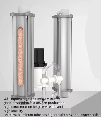 10 L machine médicale portative de concentrateur de l'oxygène de PSA pour la respiration