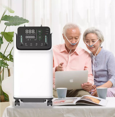 Machine mobile de concentrateur d'O2 de l'oxygène de double écoulement 10 L