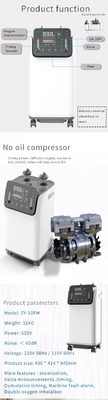 Machine mobile de concentrateur d'O2 de l'oxygène de double écoulement 10 L