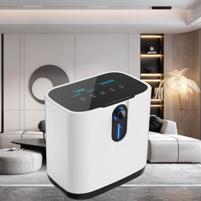 Générateur portatif de l'oxygène du concentrateur O2 d'Oxgen de 1 litre pour l'hôpital