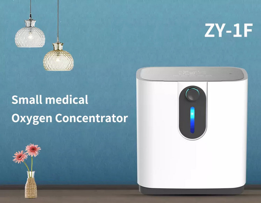 Maison réglable 120v d'AMONOY 6 Llitre Mini Oxygen Nebulizer Machine For