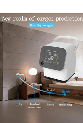 Coutume 15 LPM générateur de concentrateur de l'oxygène de 2 litres pour l'hôpital