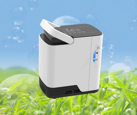 La maison portative à courant simple de concentrateur de l'oxygène de 2 litres emploient 220v