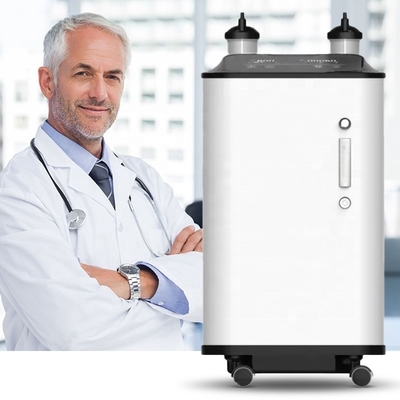 Concentrateur O2 portatif médical de 95% 10 LPM pour 2 la personne 10L